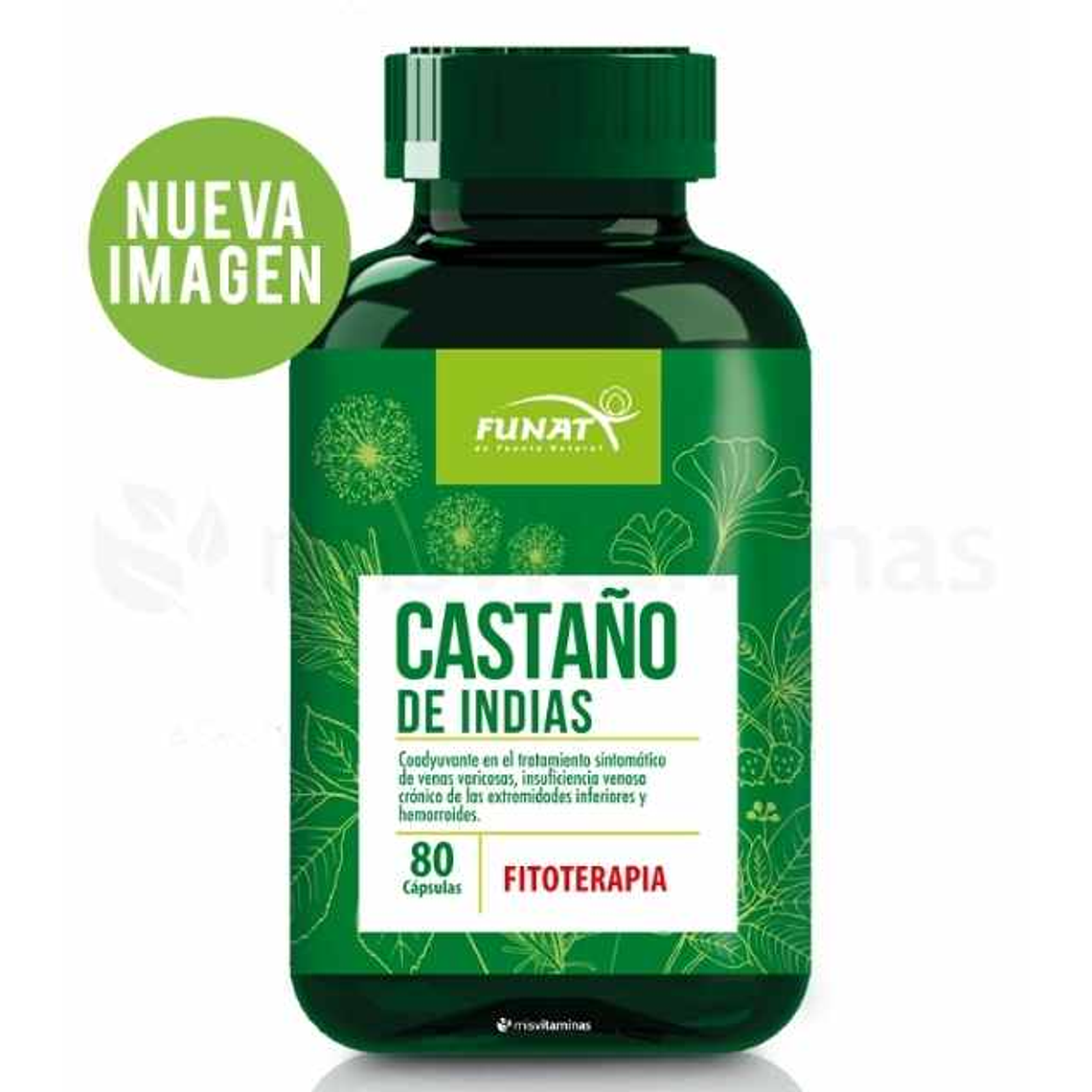 Castaño de Indias 80 Cápsulas Funat 1