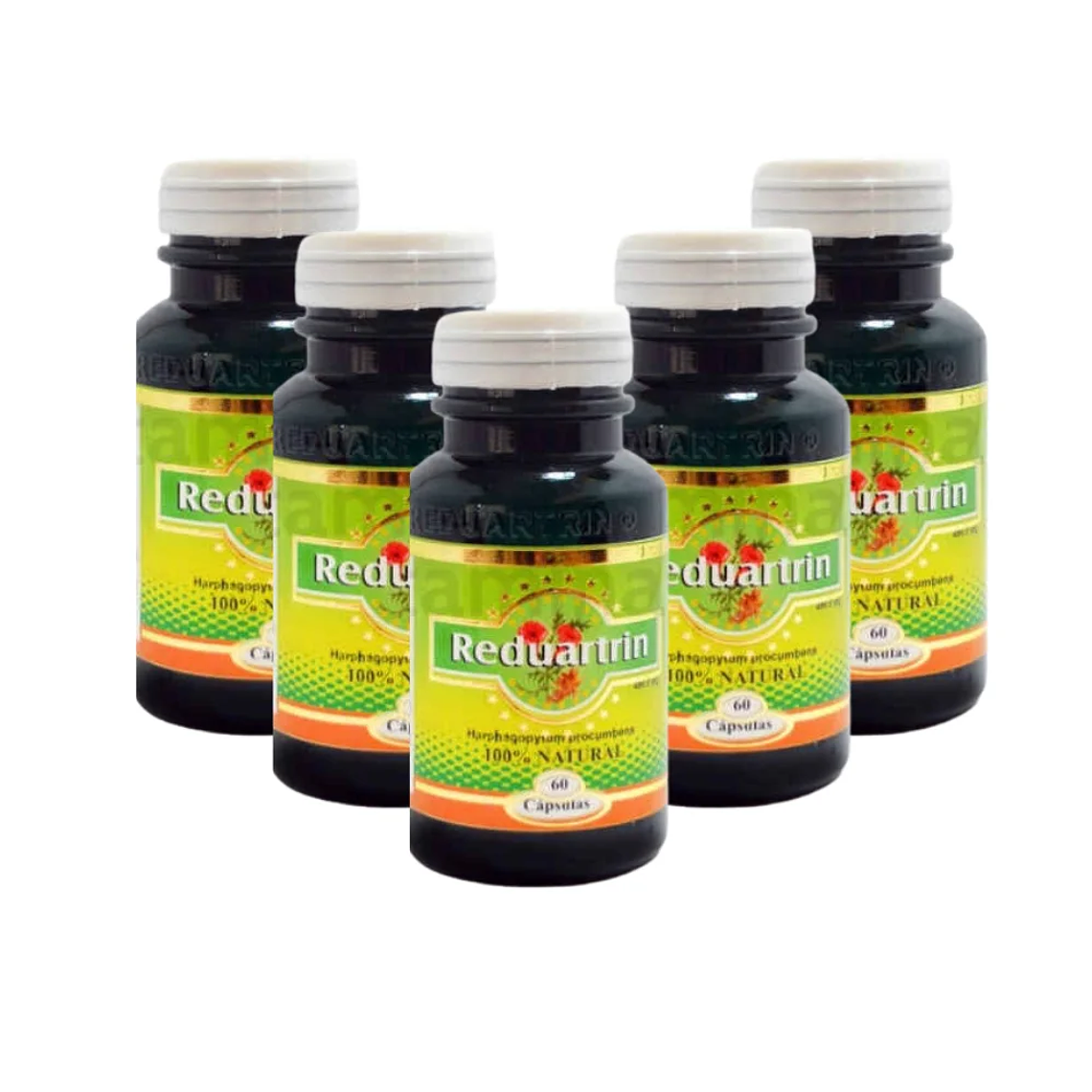 Combo Reduartrin 60 Cápsulas Harpagofito por 5 Unidades 1