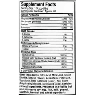 Amino Build Performance-Enhancing Muscletech 40 Servicios 