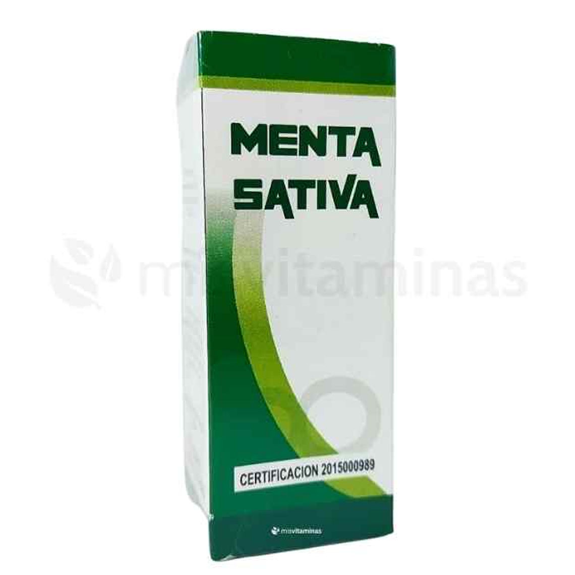 Menta Sativa  1