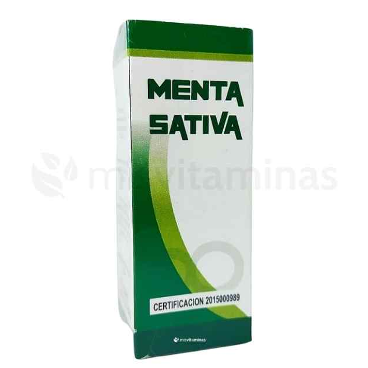 Menta Sativa  1
