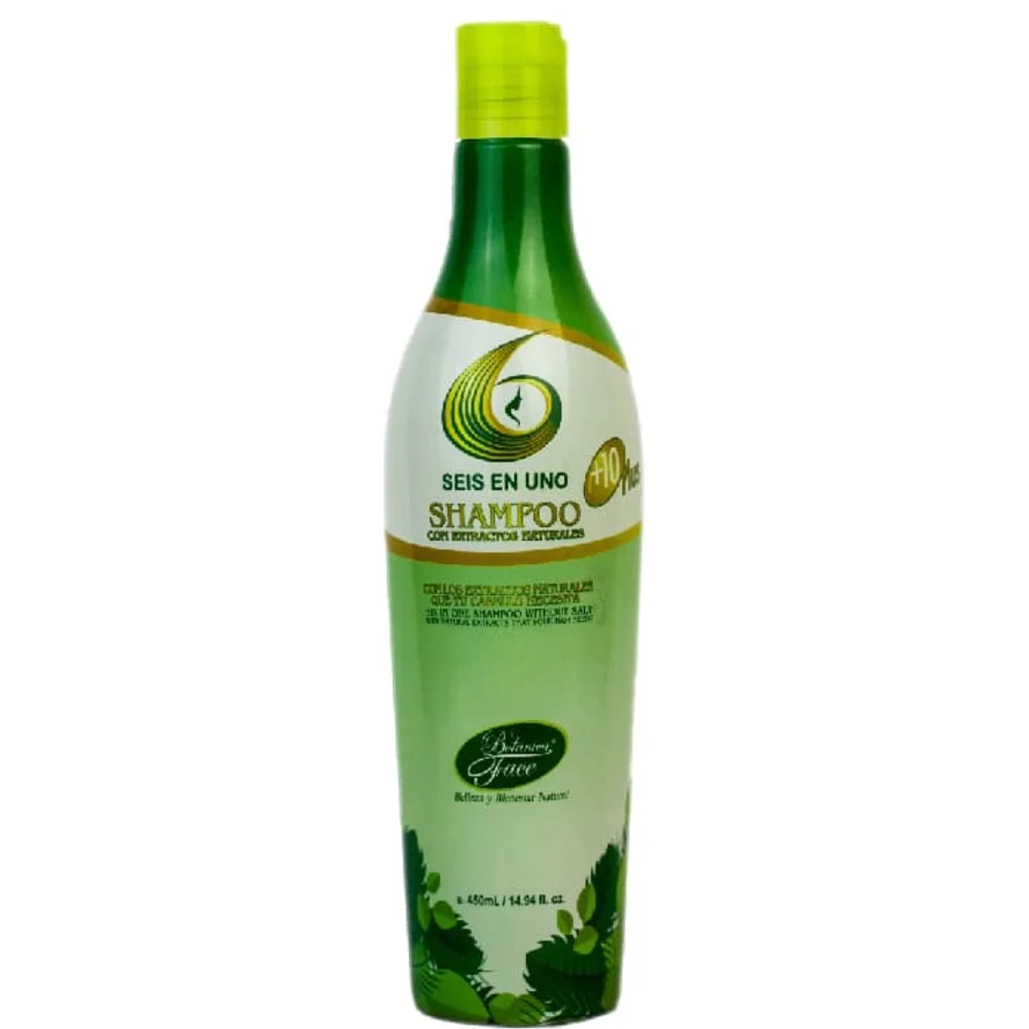 Shampoo Seis en Uno 450 ml Botanica Face 1