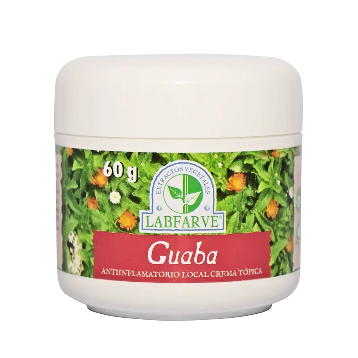 Guaba crema 60grs Labfarve  1