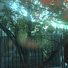 Crepúsculo Twilight - Filtro película Llavero  6