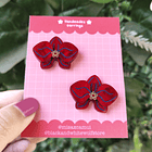 Fairy Crystal - Orquídeas Aros  1