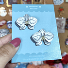 Fairy Crystal - Orquídeas Aros  4