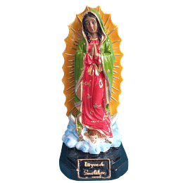 Figura Virgen De Guadalupe 21 Cm 