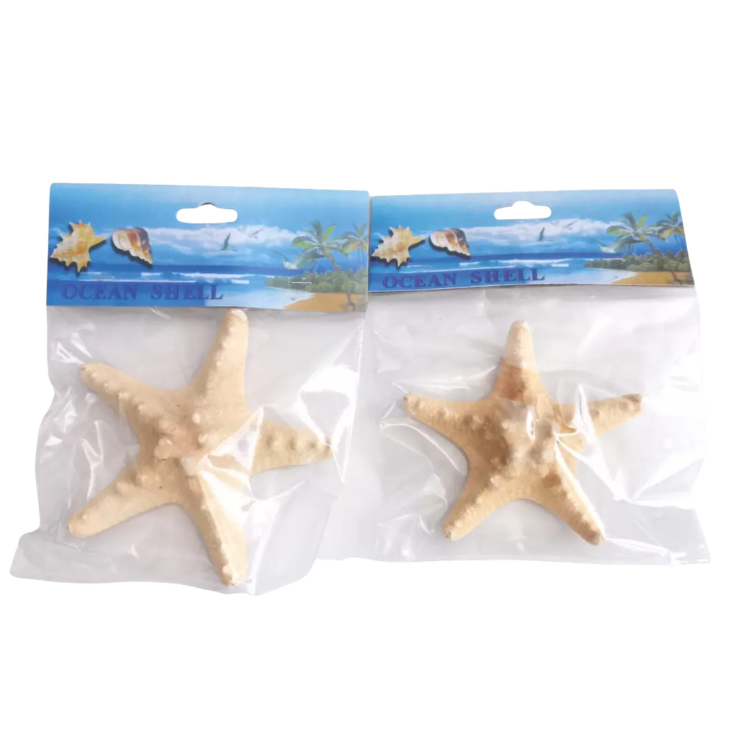 Estrellas De Mar Secas Naturales (2 unidades) Artesanía Decoración Acuario 2