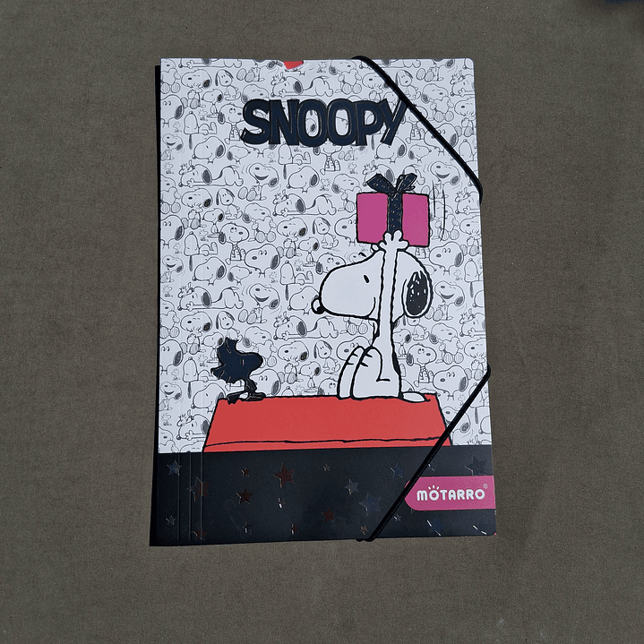Carpeta Snoopy - Oficio 3