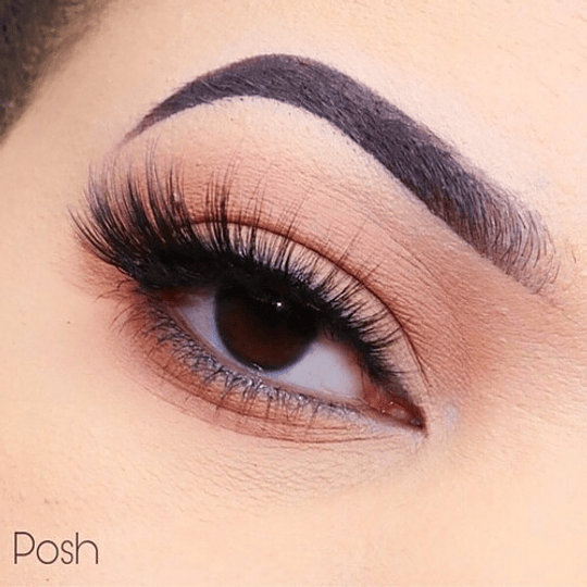 3D Faux Mink Lashes : POSH