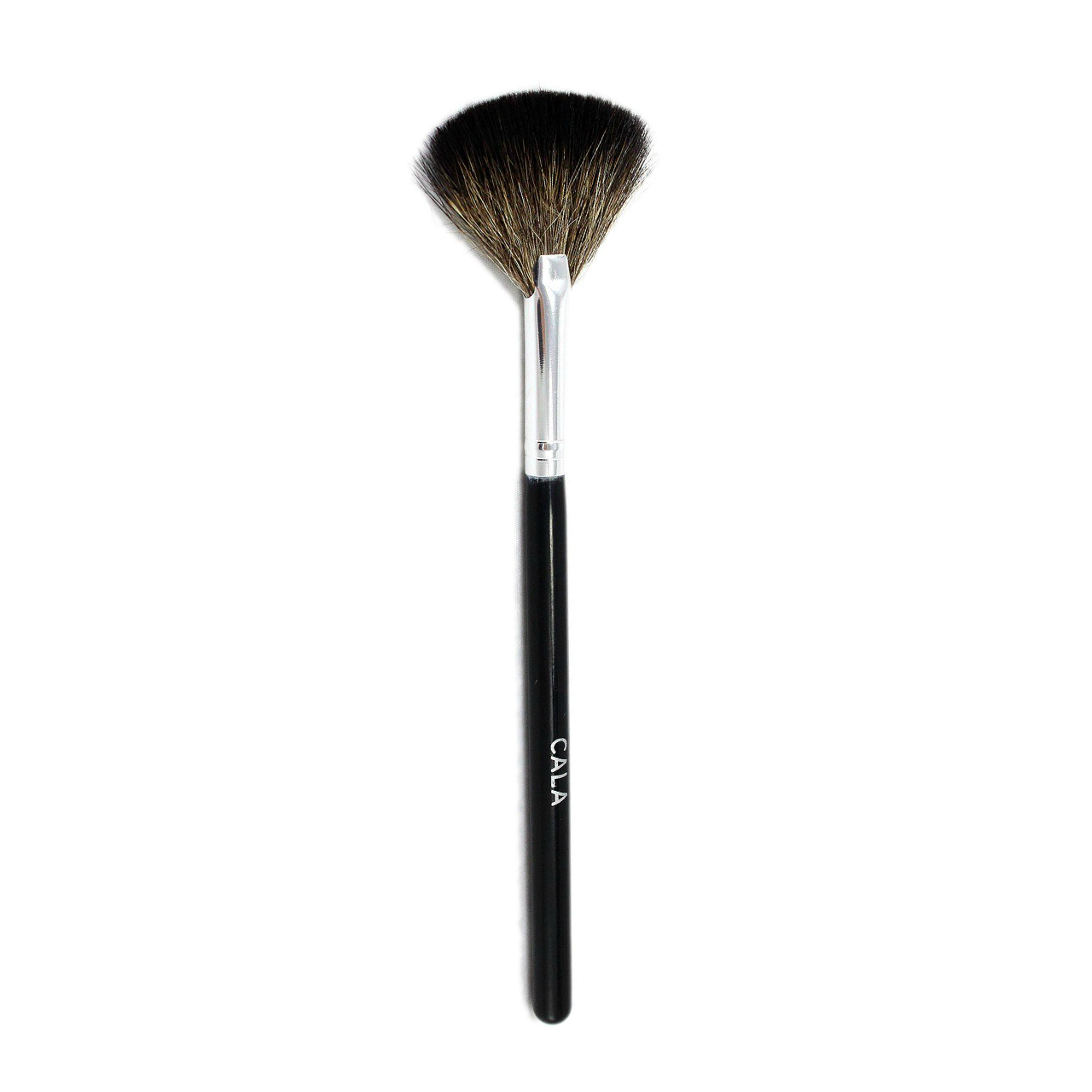 Pro Master Fan Brush