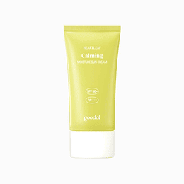 Houttuynia Cordata Calming Sun Cream SPF 50+ PA++++