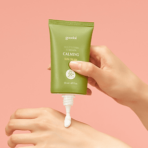 Houttuynia Cordata Calming Sun Cream SPF 50+ PA++++ 50ml