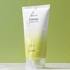 Houttuynia Cordata Calming PH Balancing Cleansing Foam 2