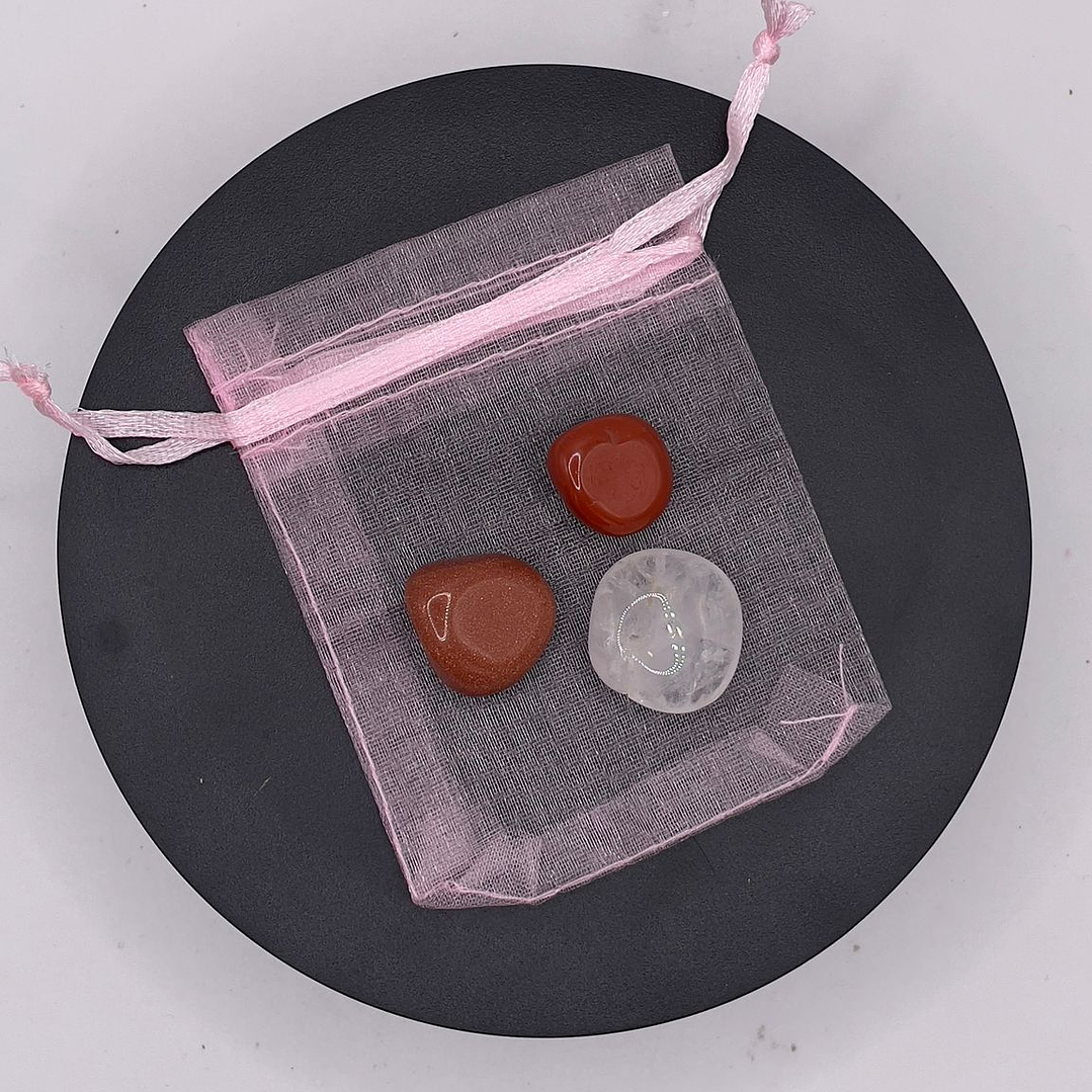 Bolsa de Proteção de Crianças 1