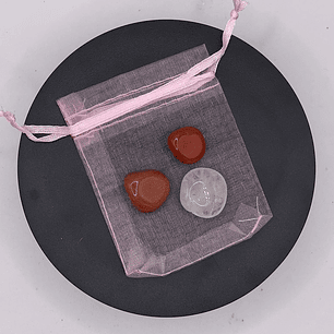 Bolsa de Proteção de Crianças