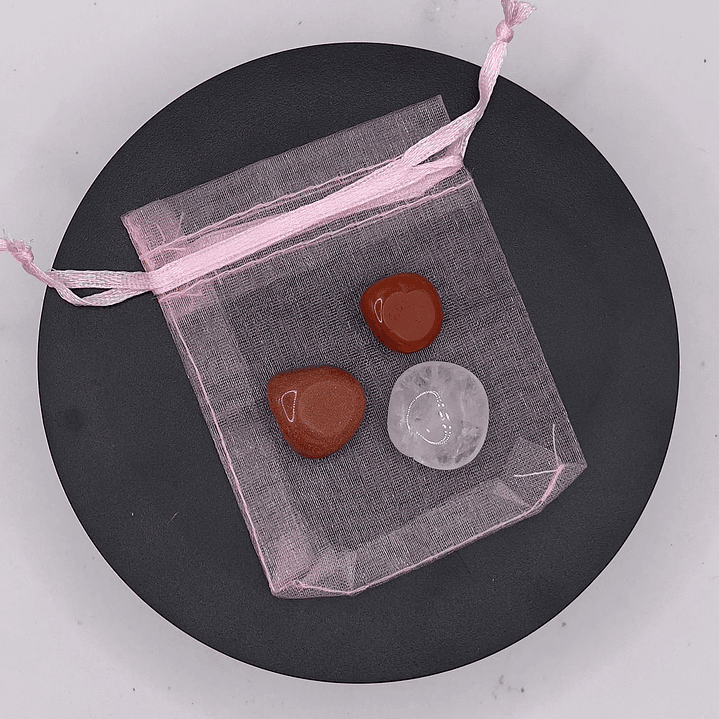 Bolsa de Proteção de Crianças 1