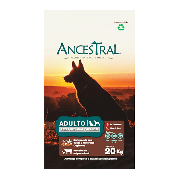 Ancestral perro adulto 20 Kg