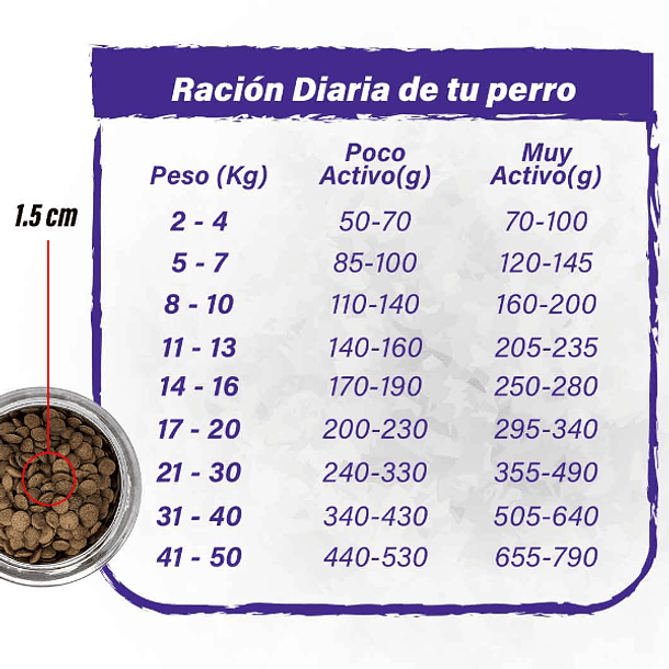 Barfood perro salmón 12 Kg 3