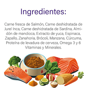 Gratis Plato + Barfood Perro Salmón 12 Kg