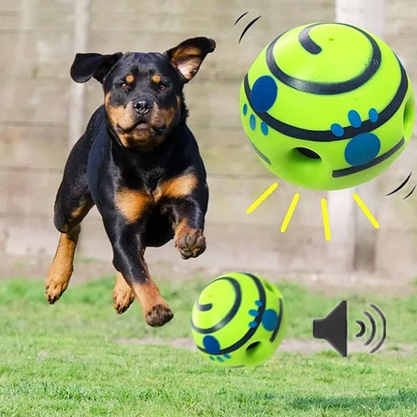 Entrenamiento Pelota Saltarina Perros Pelota De Entrenamiento Para