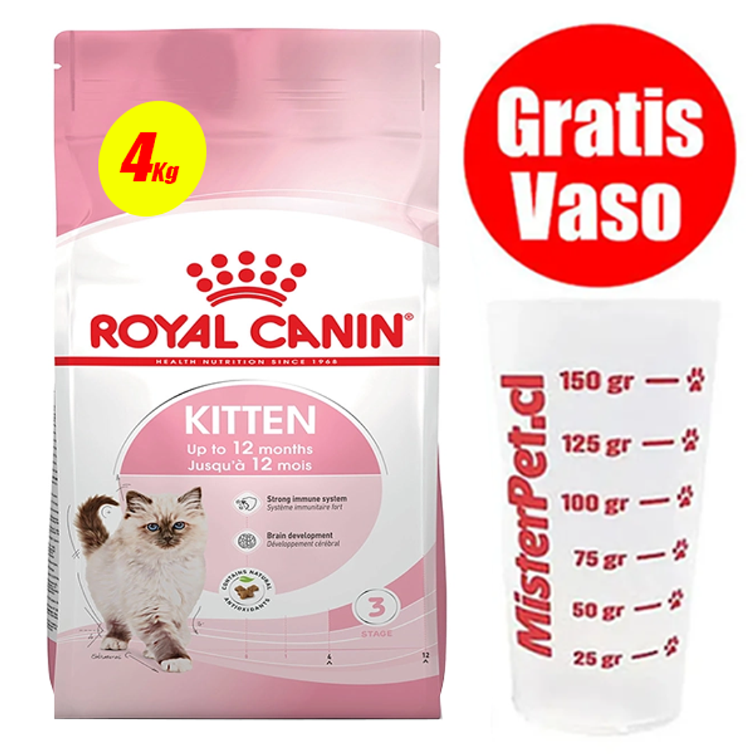 Gratis Vaso + Royal Canin Gato Kitten 4 kg 1
