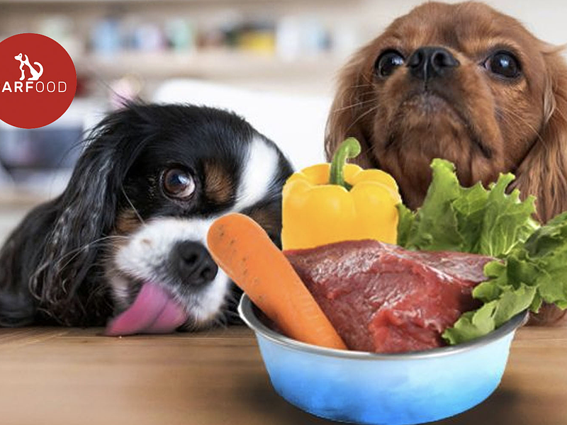 Barfood - Lo más parecido a la dieta BARF