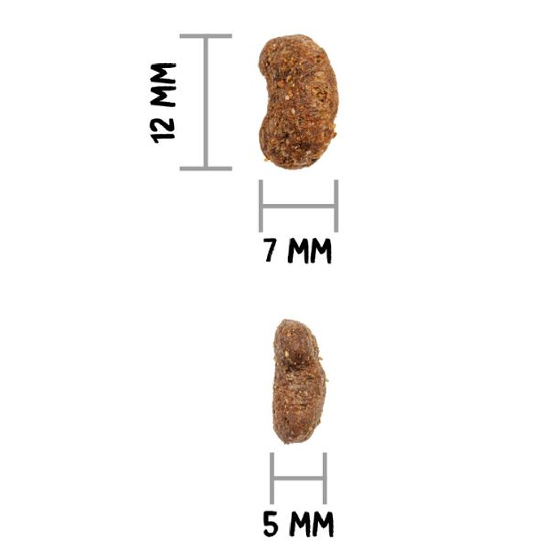 Gratis Juguete + Ownat Care Gato Urinary 1,5 Kg 2