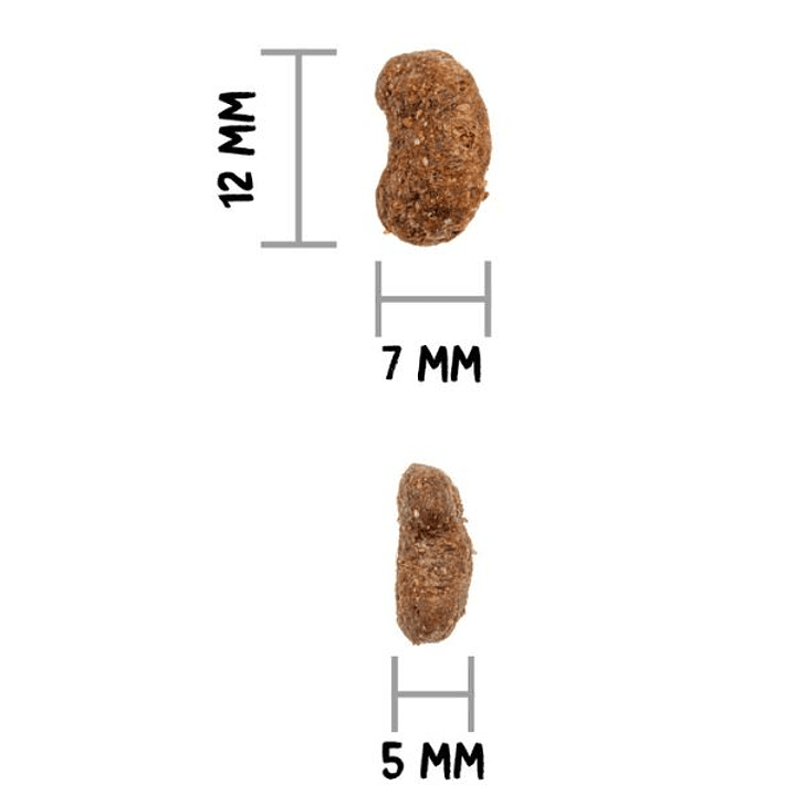 Gratis Juguete + Ownat Care Gato Urinary 1,5 Kg 2