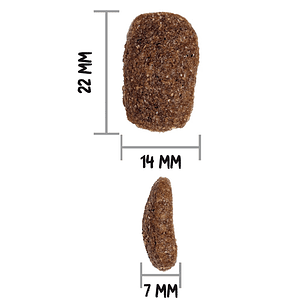 Gratis Vaso + Ownat Classic Complet Perro 4 kg
