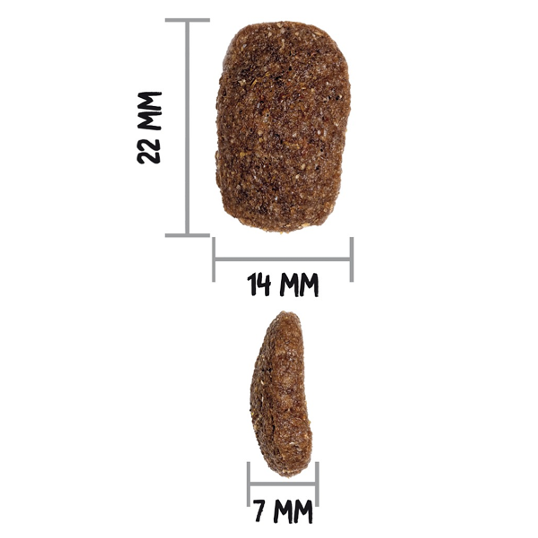 Gratis Vaso + Ownat Classic Complet Perro 4 kg 2