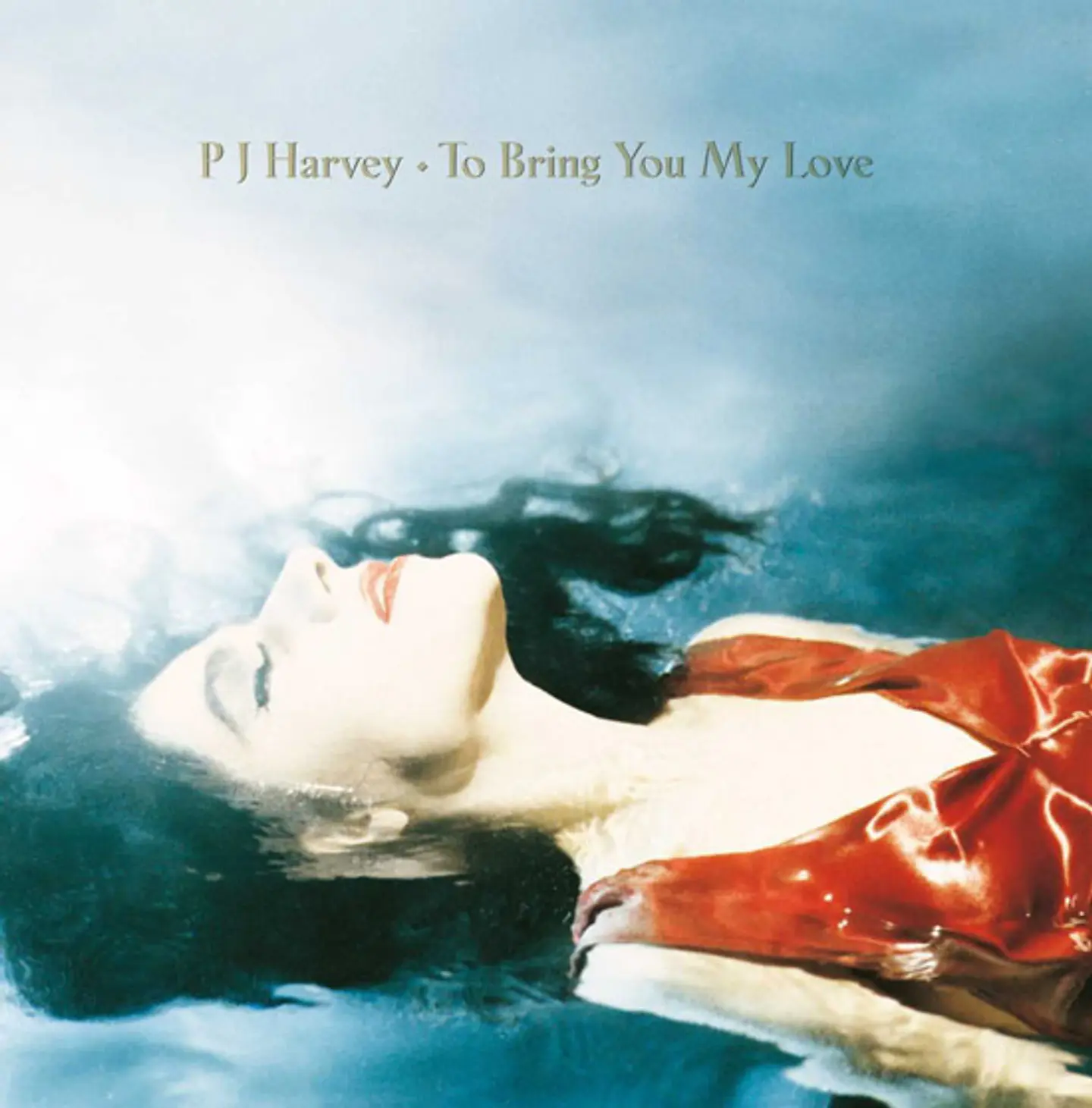 Vinilo PJ Harvey – To Bring You My Love 2