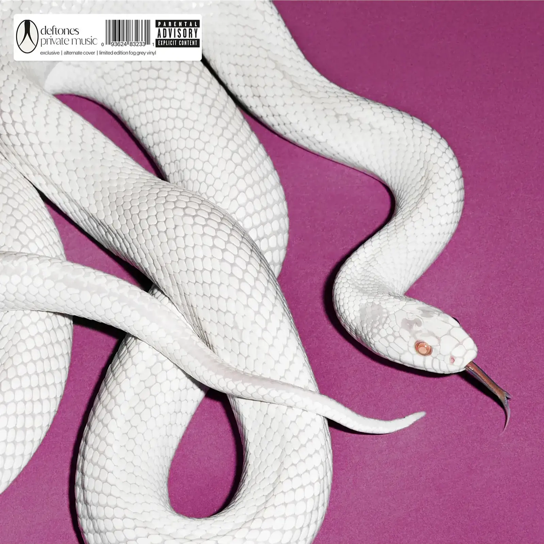 Vinilo Deftones – Private Music (1LP Indie Exclusive) Limited Edition, Grey [Fog Grey], Alternative Cover 2