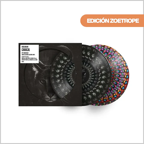 Vinilo Disclosure - Caracal (10th Anniversary Edition Zoetrope 2LP) | Dance / Electronic | 