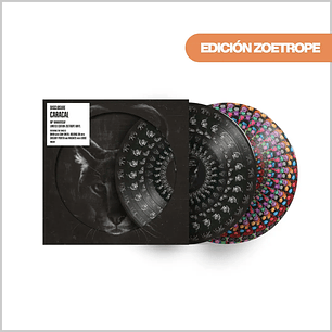 Vinilo Disclosure - Caracal (10th Anniversary Edition Zoetrope 2LP) | Dance / Electronic | PREVENTA