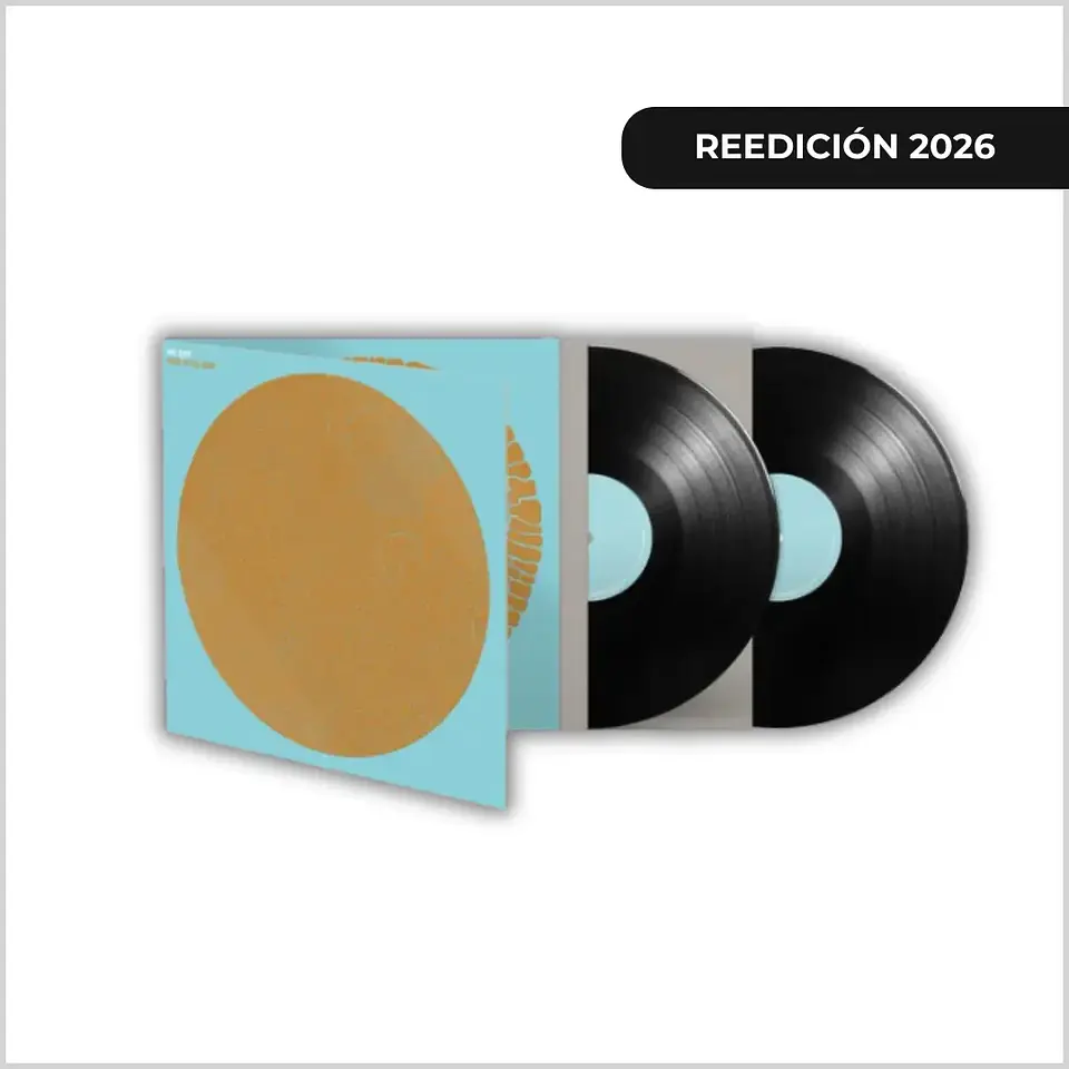 Vinilo Hot Chip - Made in the Dark (2LP/Deluxe) (Preventa) 1