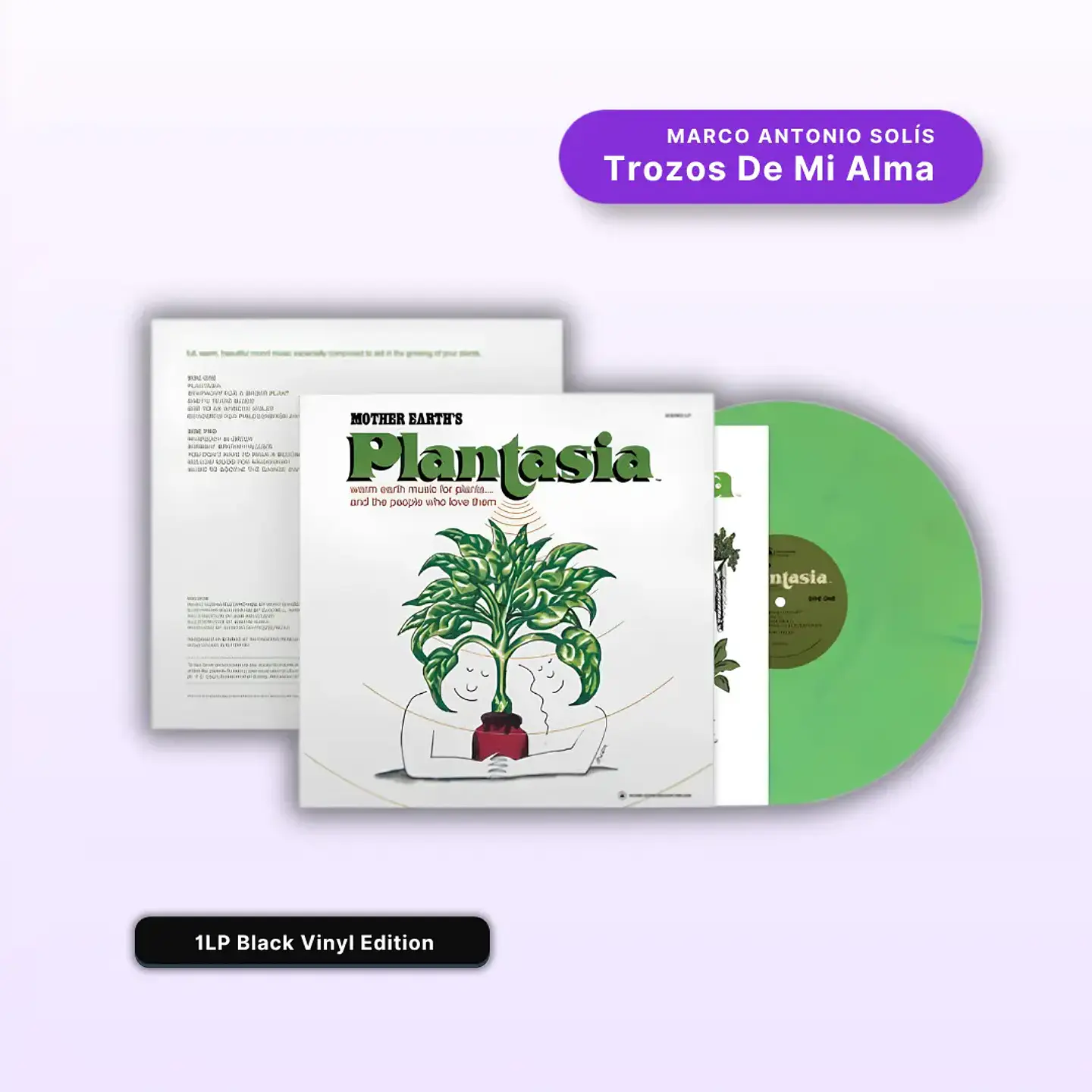Vinilo Mort Garson - Mother Earth's Plantasia (50th Anniversary Edition, Multicolor Eco Mix) (Preventa) 1