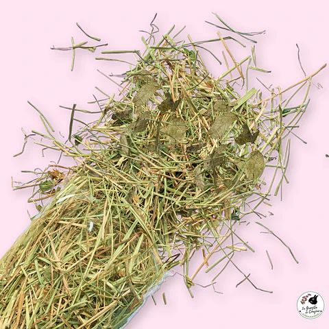 HOJITAS TREBOL MAQUI (100 GR)