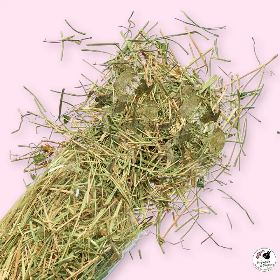 HOJITAS TREBOL MAQUI (100 GR) 1