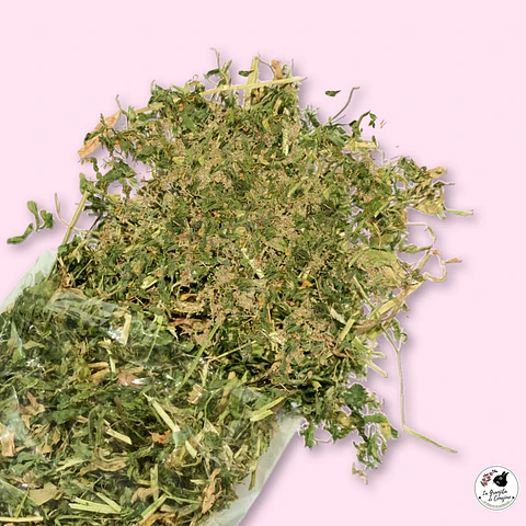 HOJITAS ALFALFA MANZANILLA (100 GR)