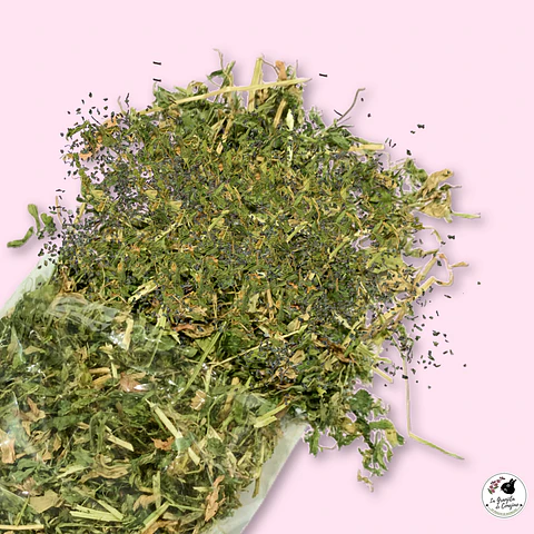 HOJITAS ALFALFA MENTA (100 GR)