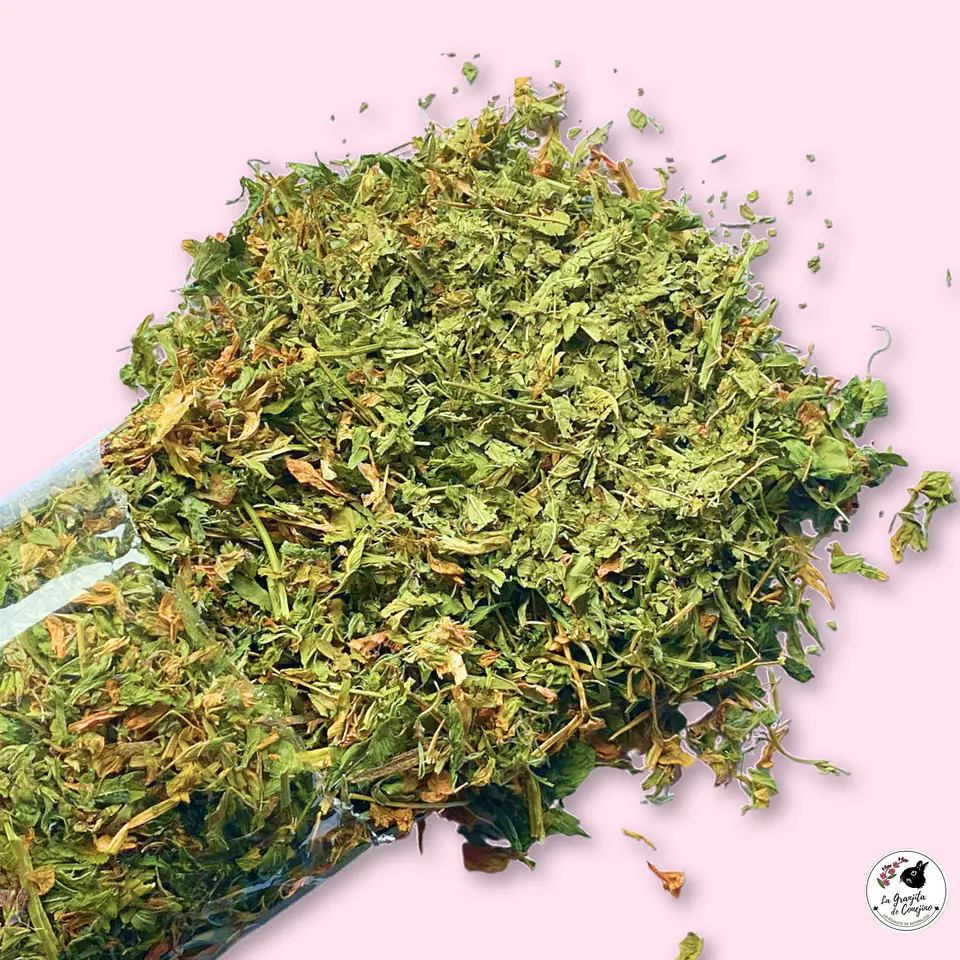 HOJITAS ALFALFA CEDRÓN (100 GR) 1