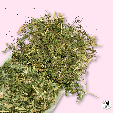 HOJITAS ALFALFA ALBAHACA (100 GR)