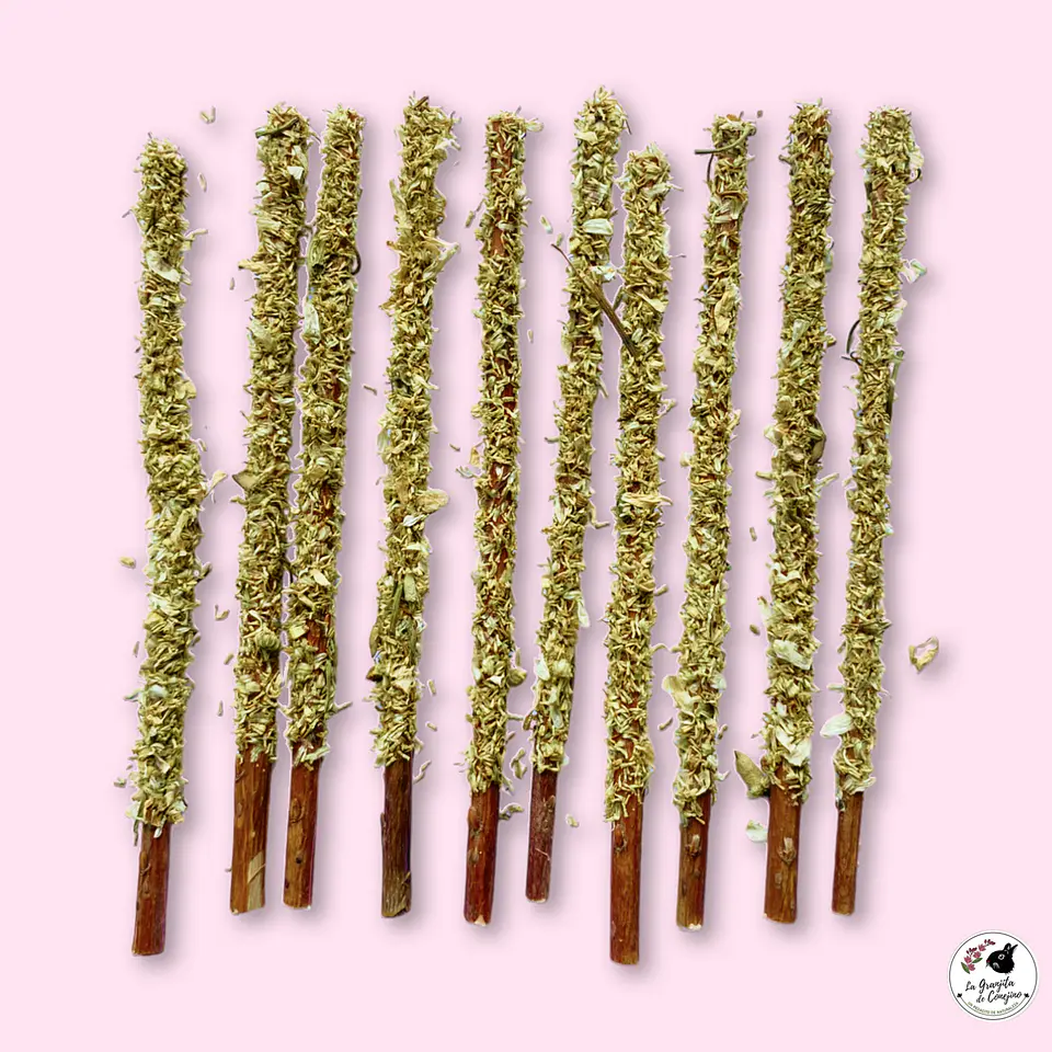 MINI STICKS MANZANILLA 1