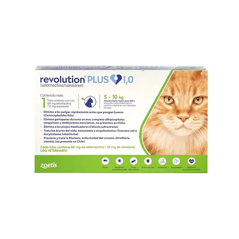 REVOLUTION PLUS (GATOS 5 KG - 10 KG)