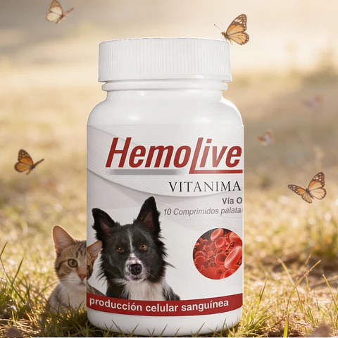 HEMOLIVET X 10 COMP