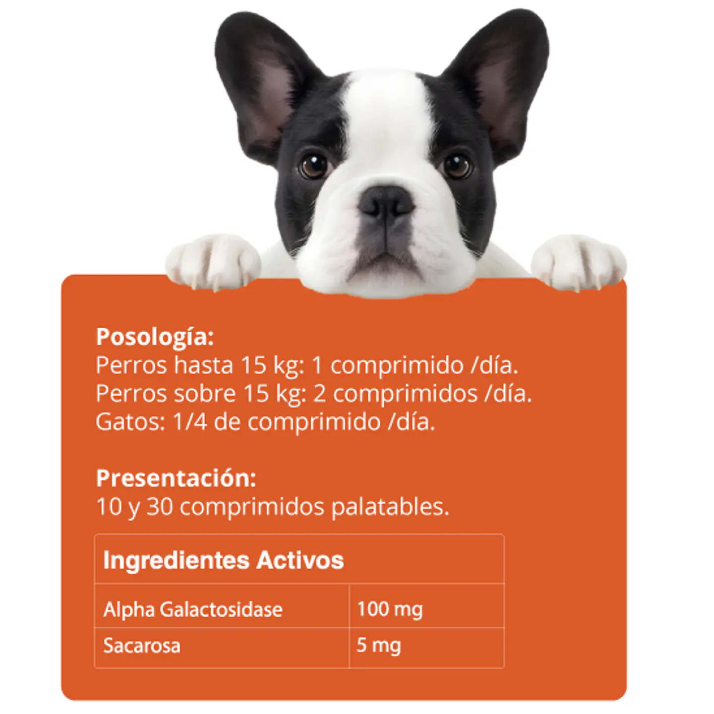 Digestivet x 10 Comprimidos 2