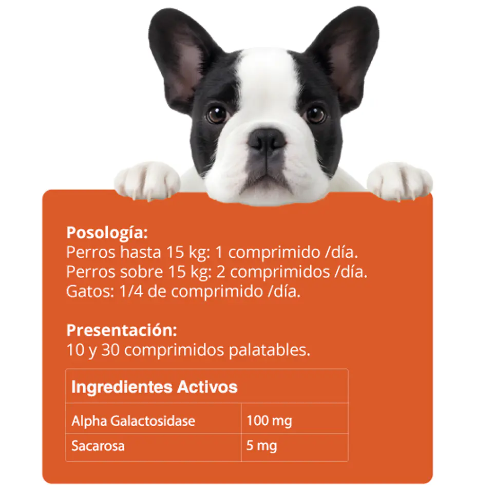 Digestivet x 10 Comprimidos 2