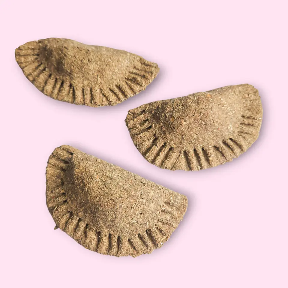 Empanaditas Conejos y Roedores 2