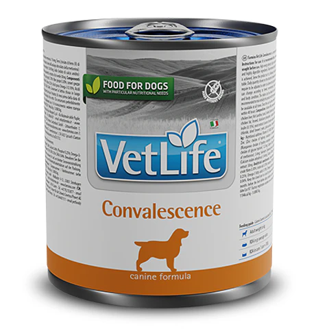 Vetlife Perro Lata Convalescence 300 gr.